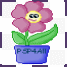 Ann_LetItGrow_Thumb