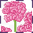chantal_vignette_geranium