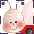 Coccinelle