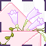 val07_steph
